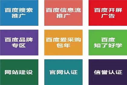 成功SEM竞价托管案例分析报告